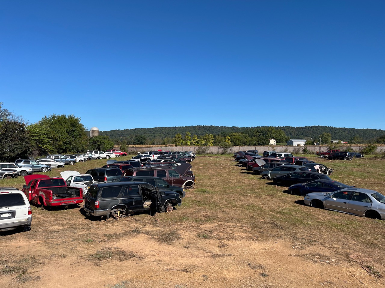 Rows of vehicles in the Eashs salvage yard